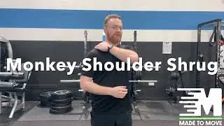 HOW TO Monkey Shrugs
