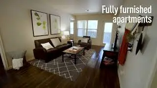 University Pointe | 4 Bed - 4 Bath Apartment Tour