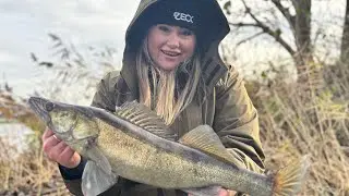 🎣 Roofvissen met Keitech Shads