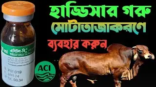 Acitol-B 12 inj। ACI ANIMAL HEALTH PRODUCT। হাড্ডিসার গরু মোটাতাজা করণে ব্যাবহার করুন