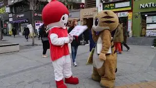 JHKTV] 신촌 명물고양이와 헌혈 shin chon special cat Roller Blades 신난다