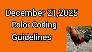 December 21,2025 Color Coding guidelines 
