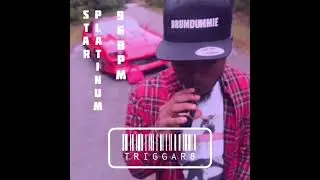 Triggar8 - STAR PLATINUM [KING DRUMDUMMIE TYPE BEAT] *DOWNLOAD LINK IN DESCRIPTION*