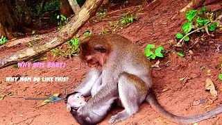 MG! Why Mommy Monkey Casi Bite Her Baby Coby Like This?, What Wrong With Them?, Mom So angry With