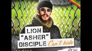 Lion Asher Disciple 