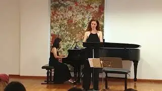 V&ouml;glein Schwermut, live, 2025