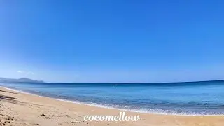 Peaceful Beach Waves in 4K | Relaxing Ocean Sounds for Stress Relief