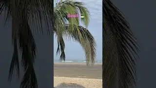 Beach 2022