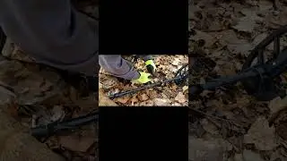 Metal Detecting, Dog Collar With Tag Found #shorts #metaldetecting #relichunting