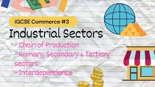 Industrial Sectors | iGCSE Commerce #3