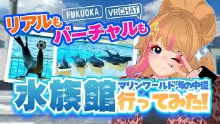 【 #VRChat 】リアル水族館！VR水族館！両方行ってみた！！🐠【マリンワールド海の中道】