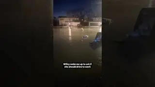 me vs. the flood // midwest emo