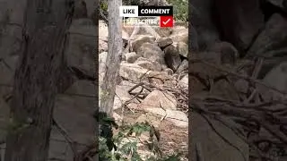 ca&ccedil;ada  de moc&oacute;, PCP (tem de mais)