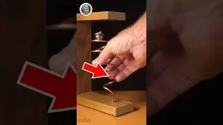 Equilibrium Against Gravity #viralvideo #viral #facts #funfacts #science