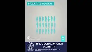 The Global Water Scarcity