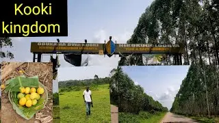 The journey to Kooki kingdom, the home of banana ,coffee and cows ...