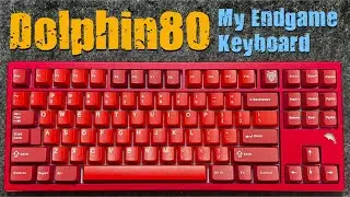 Dolphin80 | Endgame keyboard, re-anode + Plate POM test ending