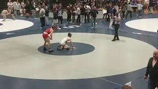 Walter woods final