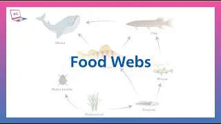 Food Webs & DNA Inheritance Explained | Complete Guide for Students