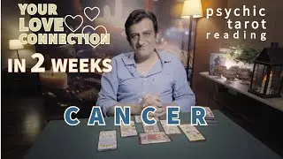 Cancer | Your Love Connection IN 2 WEEKS | Tarot Card reading | Psychic Love Tarot
