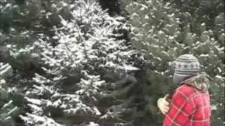 To Build a Fire