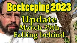 ❸ From 6 hives to 19 in 1 week.  Splits, swarms from my own bees and running out of equipment.