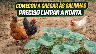 O sítio começando a fluir