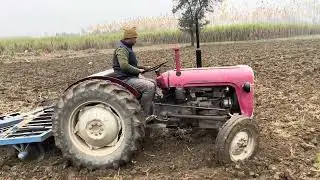 Massi fargusan 35 #agriculturalsystem #farmingmethod #desiviilagelifetstyle #farmer 
