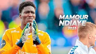 Mamour Ndiaye - Modern Goalkeeper 2025ᴴᴰ