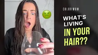 How to Use Color Wow Dream Filter for the Ultimate Hair Detox