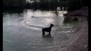 Swimming at Snyder Park