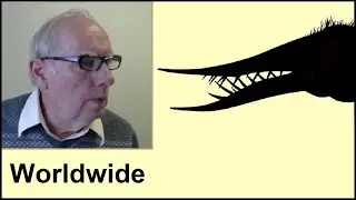 Pterosaur Sightings Worldwide
