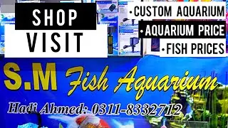 Visit SM Aquarium Shop | Aquarium Custom Making Shop & Fish Stock Prices 23-Sep-24 - Imran's World