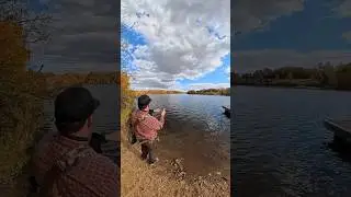 Caught a Perch using Bobby Garland Baby Shad Swim'R ultralight lure | ASMR #fishing #shorts
