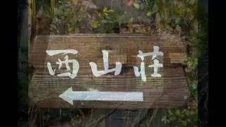 『演歌耳袋帖』　音頭水戸黄門・人生に涙あり・山口瑠美さん・高音質