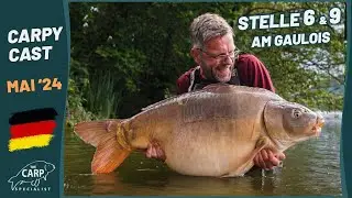 Live von Stelle 6 & 9 am Gaulois - Carpy Cast Mai 2024 mit vielen dicken Fischen 🎣🇫🇷