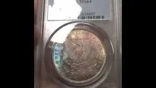 1888 Morgan Dollar Toned