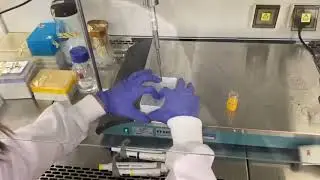 TACT ETN tutorials #2 - How to: Polymeric Nanoparticles