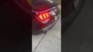 2024 ford mustang ecoboost Flowmaster outlaws sound amazing! @FlowmasterInc