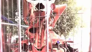 Blissfields 2012 - The Hidden Hedge