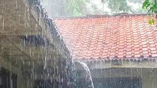 suara hujan di halaman rumah membuat insomnia langsung menghilang !! tertidur dengan pulas..