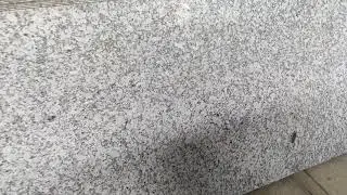 P White Granite # White Granite Slab # Granite Slabs # Medium Quality # White Stone