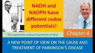 Chapter4 NADH and NADPH have different redox potentials: The super oxide sentinel hypothesis of MQC