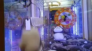 claw machine win at fun house lucky gold plaza #clawmachine #clawmachinewins #arcade
