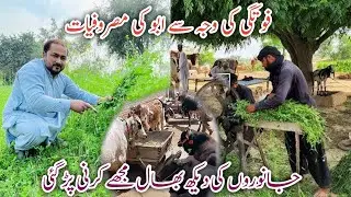 Janwaron Ka Sara Kaam Mujhe Karna Par Gaya 😂 | Village Routine | Funny Vlog | Sajid Rehman Official