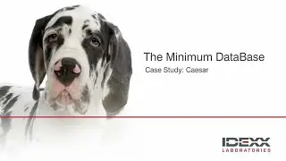 IDEXX - Case Study Caesar for Minimum DataBase
