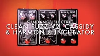 Sundance Electric Clean Fuzz V2 + Harmonic Incubator + Cassidy || Demo