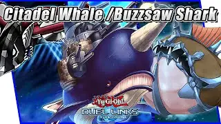 Citadel Whale / Buzzsaw Shark[Yu Gi Oh! Duel Links][Non Tier]