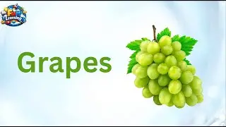 Letter G | Alphabet G | Phonics Letter | Kids ABCD Learning | ABC | Words starting from Alphabet G