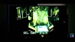 2pac Hit The Casino and free game